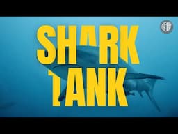 Shark Tank - Commerce Fest. | IISJ Reporters | 24-25