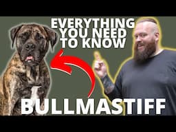 What You Didn't Know About Bullmastiff