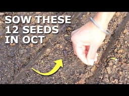 12 Seeds You Must Grow in October