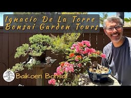 Ignacio De La Torre - Bonsai Garden Tours - Baikoen Bonsai Club