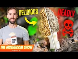 This Widely Eaten Mushrooms Is... Deadly?