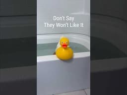 Don’t Be Shy Duck