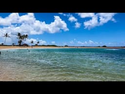 Family Friendly and ADA Accessible Beaches | PART 1 | KAUAI HAWAII