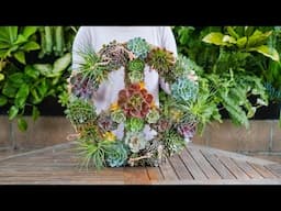 How to Plant a Succulent Peace Wreath