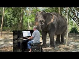 "Moon River" for an Elephant