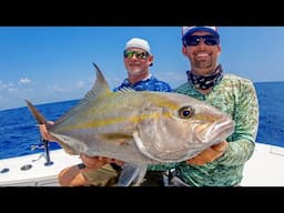 Tunas, Sailfish, Jacks and Dolphin Fishing