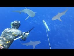 Too Many SHARKS To Pull The Trigger! | 113 Feet DEEP!