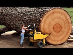 30 Fastest Automatic Firewood Processing Machine | Homemade Modern Wood Cutting Chainsaw Machines