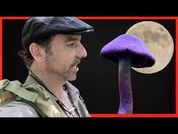 Uncovering Mystical Mushrooms and Hidden Wonders! PT1