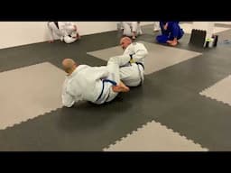 BJJ:Standard Ashigarami hip transition