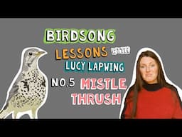 How to Identify Mistle Thrush Song - Episode 5 of Birdsong Lessons with Lucy Lapwing!