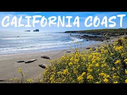 The Coast of California [4K UHD] | Hearst San Simeon State Park | MacKerricher State Park