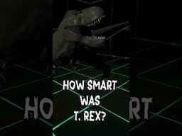 How smart was T. Rex?