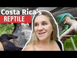 I Explore Costa Rica's LARGEST Reptile Sanctuary