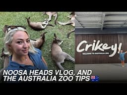 Australia Zoo Vlog + Noosa Days! Rainy Adventures & Travel Tips