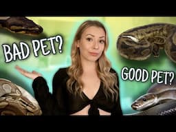 Watch This BEFORE Getting A Ball Python!