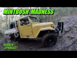 Epic Mintbush 4x4 Adventure Toyota Landcruiser vs Toyota Hilux