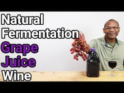 Natural Ferment Grape Juice Wine with Tasting