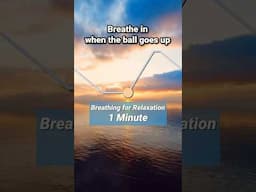 Breathing Exercise for Relaxation - 1 Minute