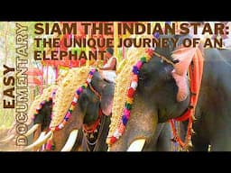 Siam the Indian Star: The Unique Journey of the Elephant - Full Documentary