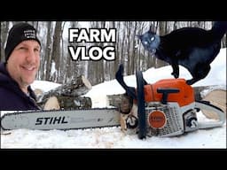 Chainsaws and Barn Cats - Farm Vlog