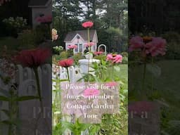 Pleas visit my beautiful Cottage Garden long tour! Live now! Includes plant names and locations🌸💗