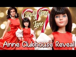 Anne Fitzpatrick Subscription Box Unboxing: Candy Cane Lane