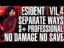 Separate Ways Professional S+  No Damage No Save No Bonus Items No Glitches