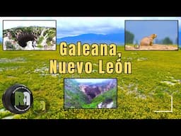 Galeana, Nuevo León - Reportajes de Alvarado  Miércoles de Febrero 2025 - Televisa Monterrey