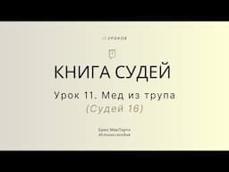 Урок 11. Мед из трупа (Судей 16) — Брюс МакЛарти