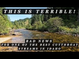 BAD NEWS for one of the BEST CUTTHROAT streams in Idaho!