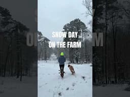 Tennessee Snow Day