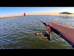 Fishing a LIVE! Shrimp alongside my Broken Backyard Pier and Caught THIS!