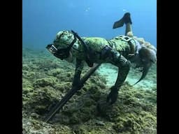 Underwater Divers Hunting for Food