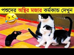 পশুদের মজার কর্মকান্ড ক্যামেরায় ধরা পড়া | Funny Animals Video 2023 (Part-23) | mayajaal