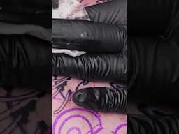 How to Tattoo a Colour Illustration Tiger with Veda Ink is now live! 🎥 | #Shorts