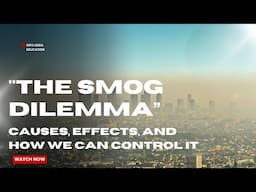 What's Causing Smog, its types and How Can We Stop It?