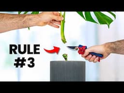 10 "Rules" You Must Break For Thriving Plants