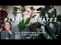 PLANTY UPDATES! New Plants, Mealy bug update and chit chat