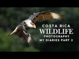 Costa Rica Wildlife Photography | My Diaries Part 2 - Sloths Hummingbirds & More Birds | Canon R3