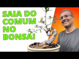 Saia do Comum - Como Fazer um Bonsai Incrível e Diferente!!!