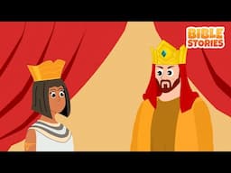 The story of Solomon & more | Bible Stories Compilation Video