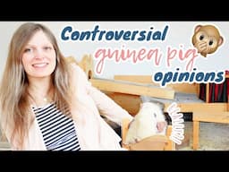 My Controversial Guinea Pig Opinions