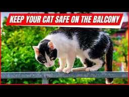 How to Cat Proof Your Balcony Safely