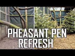 SPRING Cleaning the Reeves and Ornamental Pheasant Pens