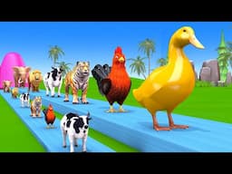 Paint Animals Game With Cow Elephant Gorilla Hippopotamus Tiger - 3d Animal Game - Funny 3d Animals