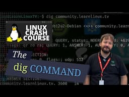 How to Use the dig Command in Linux | DNS Lookup Tutorial