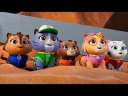 PAW Patrol - Kitten Catastrophe Crew | Season 11 Compilation | WildBrain Zoo | Cartoons of Kids