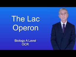 A Level Biology Revision "The Lac Operon"