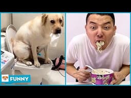 Have lunch in the toilet - Dog Funny Moments 2021 V25 - Dogs funny video